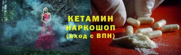 шишки Осинники