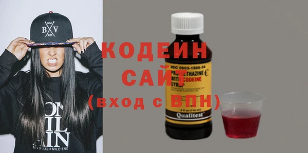 шишки Осинники