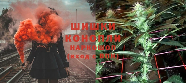 шишки Осинники