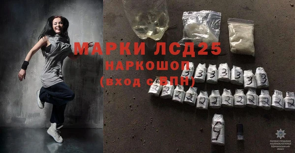 шишки Осинники